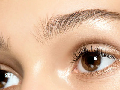 Understanding Oily Eyelids