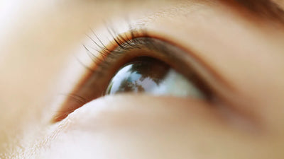 Everyday Habits for Better Eye Health